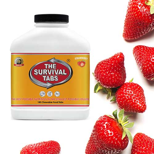 Where to buy food preservation in 10 Days for Disaster Preparedness 25 Years Shelf Life